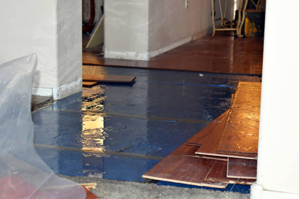 Professional Water Damage Restoration technician working in Mission, TX